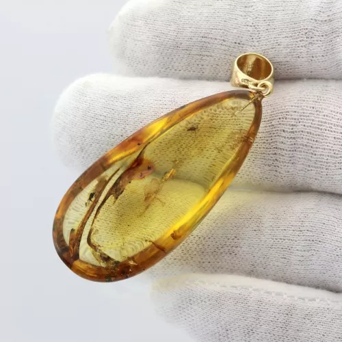 Insect inclusions in Baltic amber fossil big stone