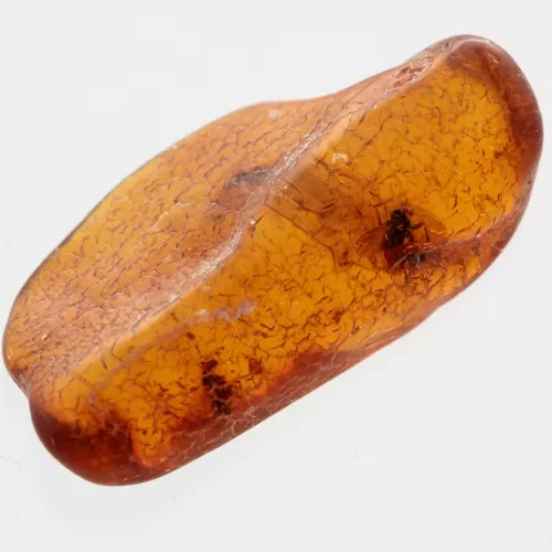 3 Flies inclusions in Baltic amber fossil stone