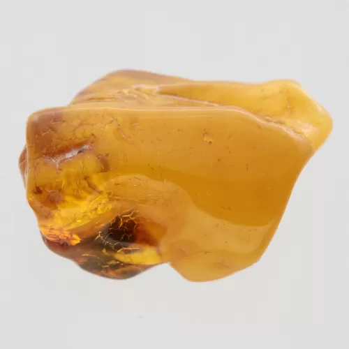 Moth Insect Inclusions in Baltic amber fossil stone