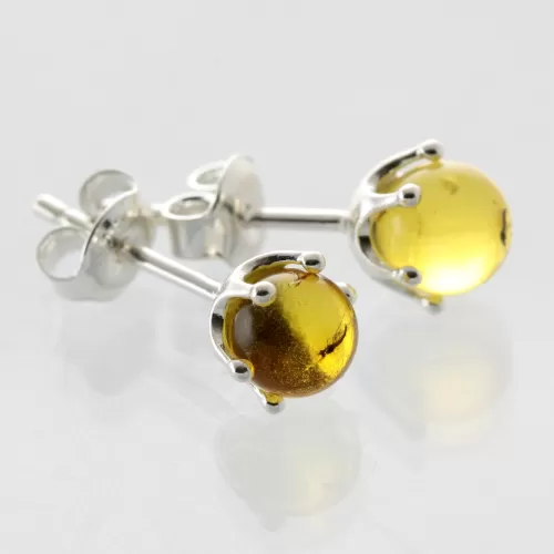 Fossil Studs Baltic amber Silver Earrings