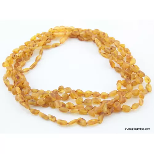 5 Honey RAW BEANS Baltic amber adult necklaces