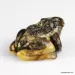 Carved Genuine BALTIC AMBER - Frog