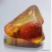 Large TERMITE inclusion in Baltic amber fossil stone