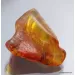 Large TERMITE inclusion in Baltic amber fossil stone