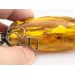 Huge amulet Baltic amber silver pendant w insect inclusion 55g