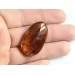 Swarm Insect inclusions in Baltic amber fossil amulet stone