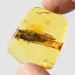 Rare Stalactite Free-Shaped Baltic Amber Stone