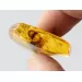 Rare Stalactite Free-Shaped Baltic Amber Stone