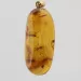 Baltic amber silver pendant w insect inclusion