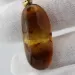 Baltic amber silver pendant w insect inclusion