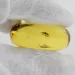 Insect inclusions in Baltic amber fossil big stone