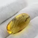 Insect inclusions in Baltic amber fossil big stone