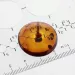 Donut shape Baltic amber pendant medallion