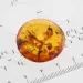 Donut shape Baltic amber pendant medallion