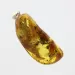 Free-form Natural Baltic Amber Silver Pendant