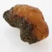 Raw Rough Genuine Baltic amber Fossil Stone