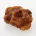 Raw Rough Genuine Baltic amber Fossil Stone