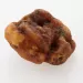 Raw Rough Genuine Baltic amber Fossil Stone