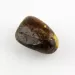 Genuine Baltic amber fossil stone 24g