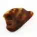 Genuine Baltic amber raw fossil stone