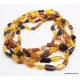 5 Multi Large BEANS Baltic amber adult wholesale necklaces