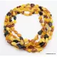 5 Multi Large BEANS Baltic amber adult wholesale necklaces