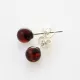 Cherry Shiny Studs Baltic amber Silver Earrings