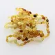 10 Raw Mix BEANS Baltic amber teething bracelets 14cm