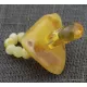 Baltic amber teething dummy - pacifier